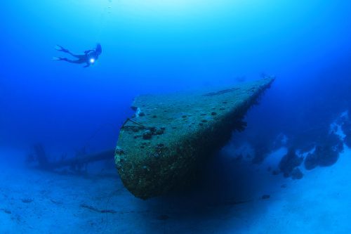 Vakantieaccommodaties op Bonaire nabij de Hilma Hooker