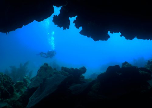 Bonaire shore dive experience