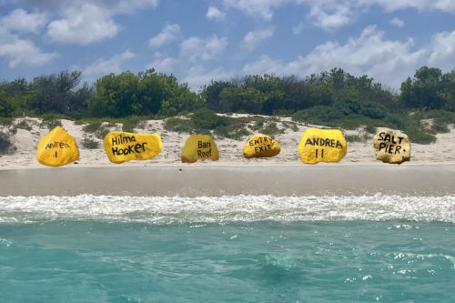 Yellow Stones on Bonaire