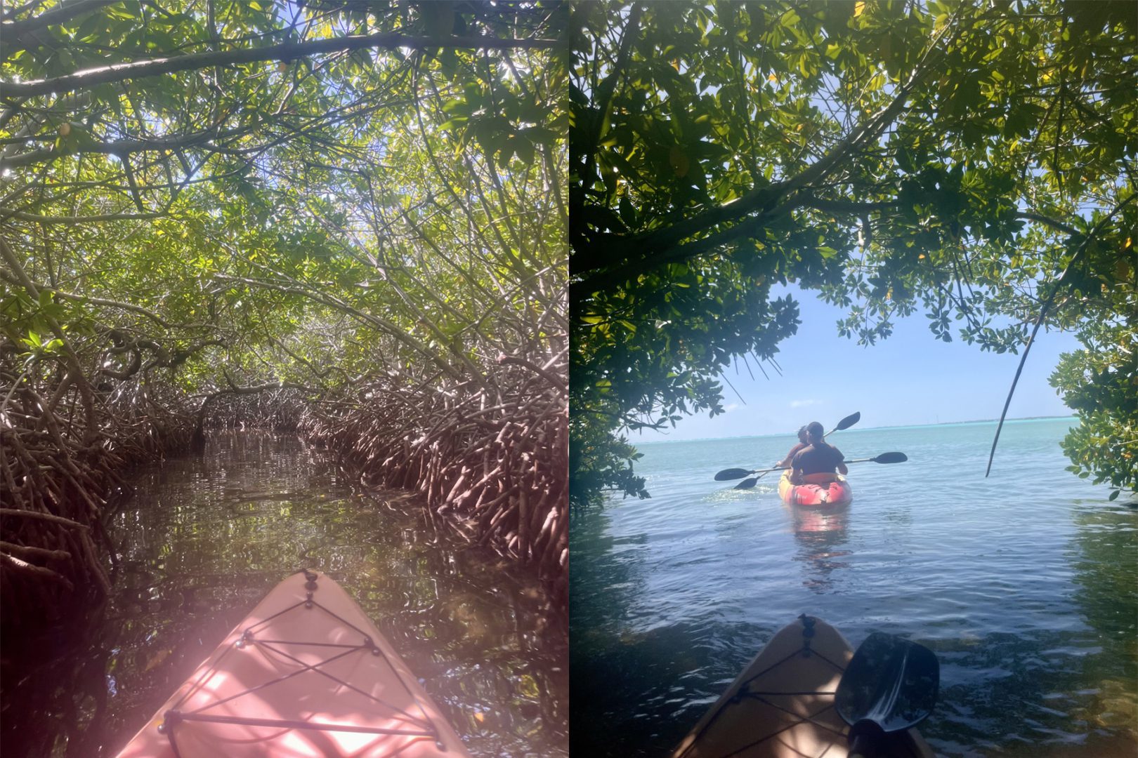 Family activity kayaking in the mangrove on Bonaire