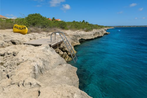 Bonaire Dive Site: Oil Slick Leap