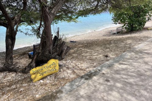 Bonaire Dive site Somethin