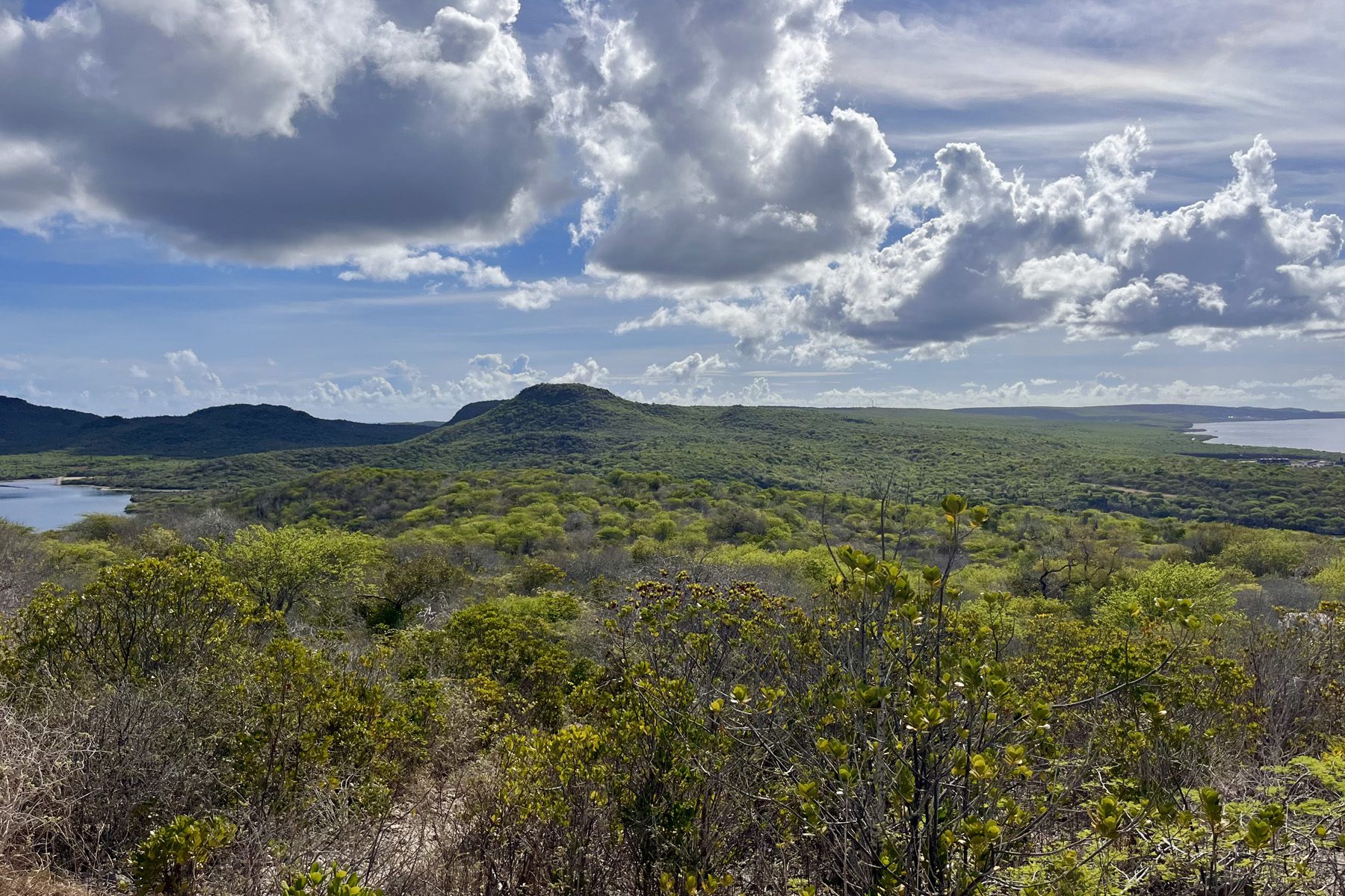 Halfway along the Wasao Trail