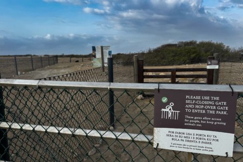 Zelfsluitende toegangspoort van Bonaire Sabal Palm Park met tweetalige bewegwijzering in Engels en Papiaments, ontworpen om grazende dieren buiten te houden