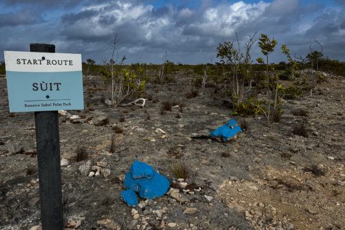 Blauw START ROUTE-bord van de Sùit-wandelroute in Bonaire Sabal Palm Park met geverfde blauwe stenen die de langste route markeren