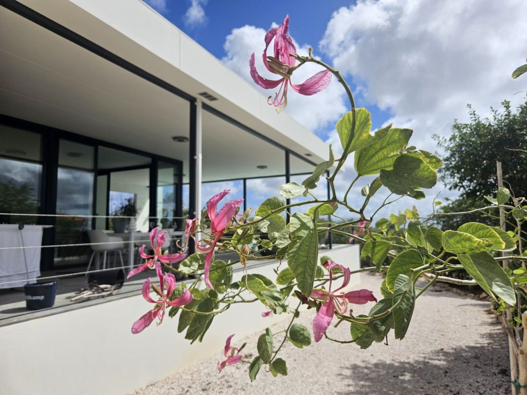 Kaya Krisolito 29, villa for rent in Santa Barbara