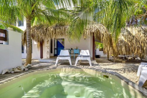 Villa Azul I met een volwassen palmentuin en ideaal geschikt voor duikers