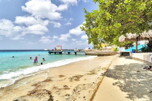 Chachacha Ocean View with a mature palm garden and spectacular ocean views
